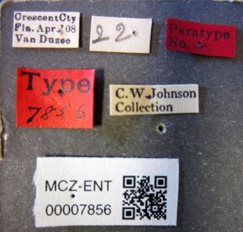 Media type: image;   Entomology 7856 Aspect: labels